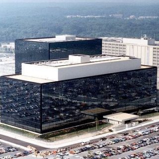 US senators demand to know extent and benefits of spy programme