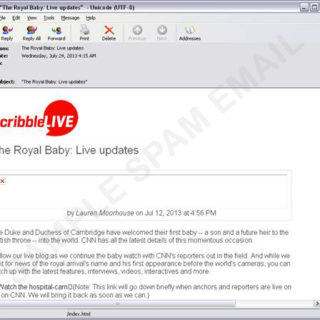 Hackers use royal baby news as social engineering lure