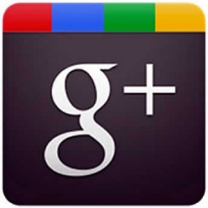 Google Business,Business Google